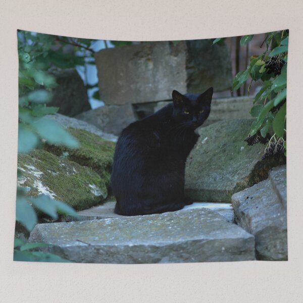Item preview, Eyed with Suspicion designed and sold by Nerone.