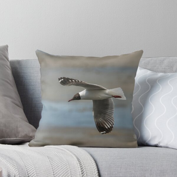 Item preview, Brown Winged Gull (II) designed and sold by DonMc.