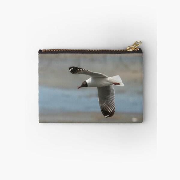 Item preview, Brown Winged Gull (II) designed and sold by DonMc.