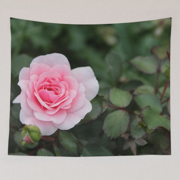 Item preview, Soft Pink Rose off Set designed and sold by Susie Kramer.