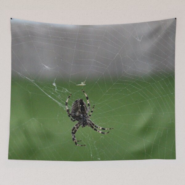 Item preview, Web Maker designed and sold by Susie Kramer.
