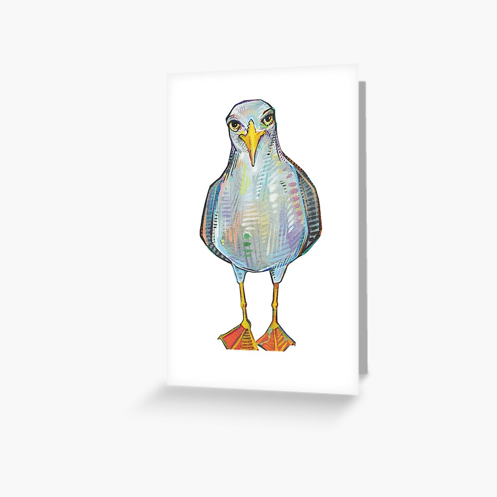 Gull on Blank Background Greeting Card