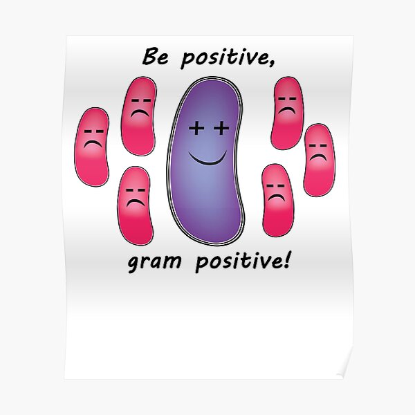 Funny Biology Be Positive Like Bacteria Funny Biology Be Positive Like Bacteria