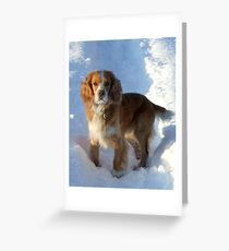 paws in the snow Greeting Card