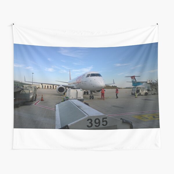 Airplane Tapestries Redbubble - boeing 767 400 blueprint hd roblox