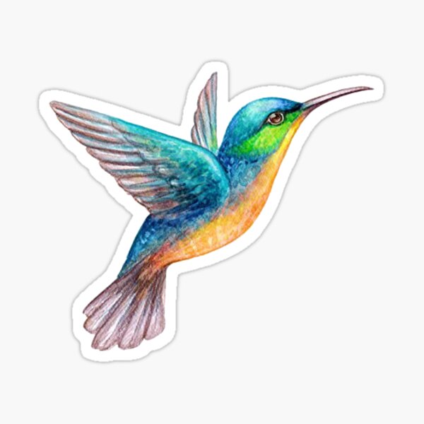 Watercolor hummingbird Sticker