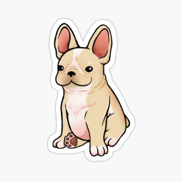 Cream french cheap bulldog