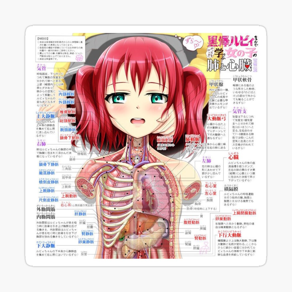 Wallpaper : anime girls, original characters, underwater, screenshot, pc  game, marine biology 1250x819 - UberLost - 118182 - HD Wallpapers - WallHere