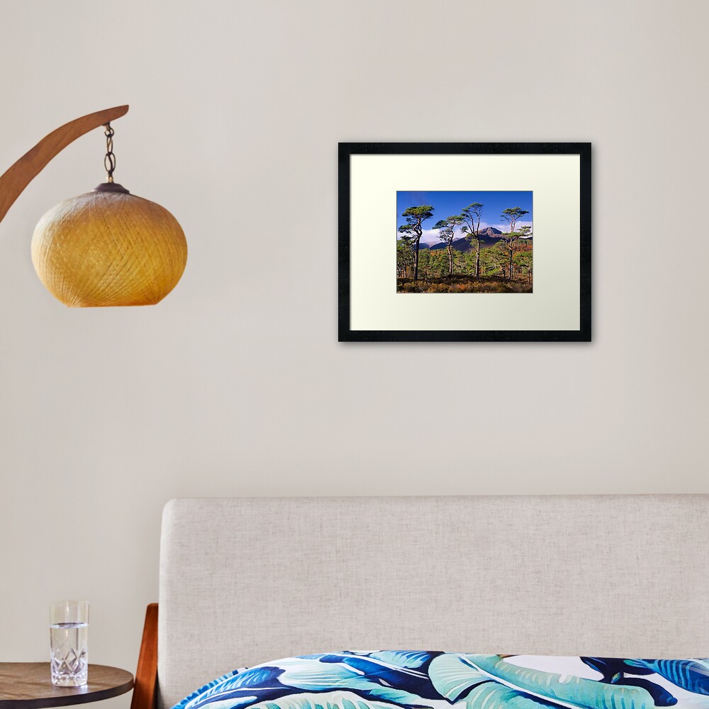 Four Pines Framed Art Print