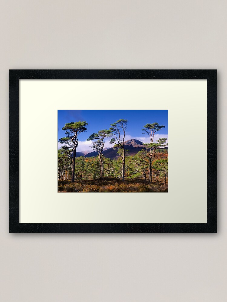 Alternate view of Four Pines Framed Art Print
