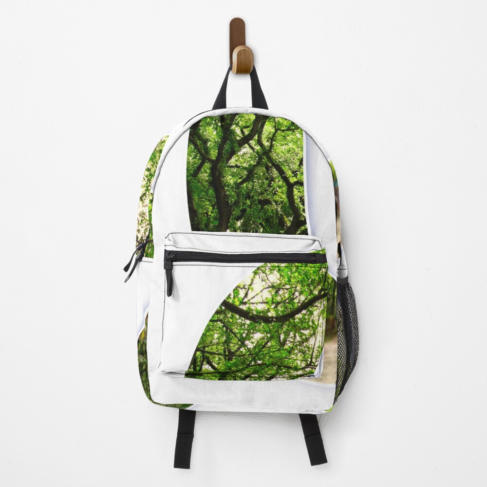 Central Park - Letter C on a backpack