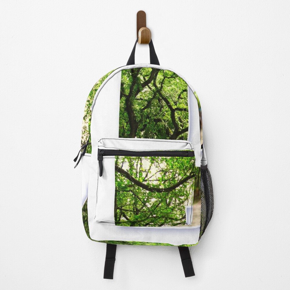 Central Park - Letter D on a backpack