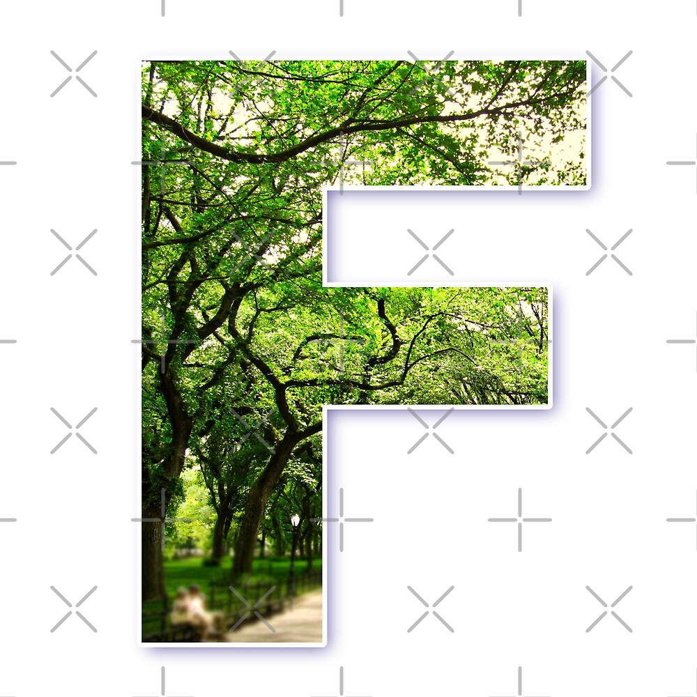 Central Park - Letter F — Poster
