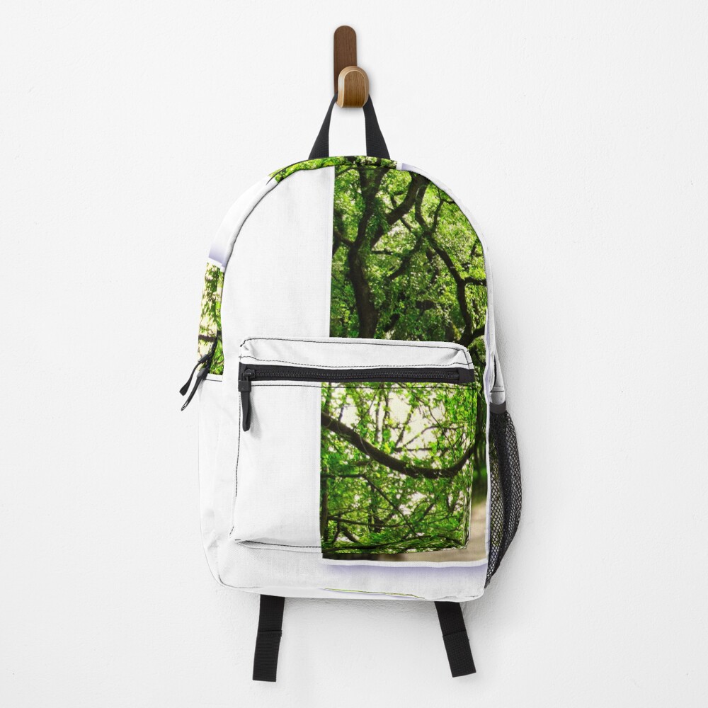 Central Park - Letter F on a backpack