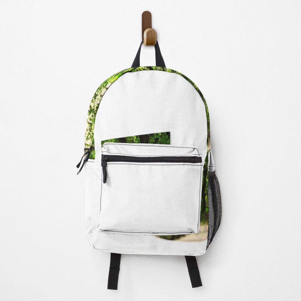 Central Park - Letter J on a backpack