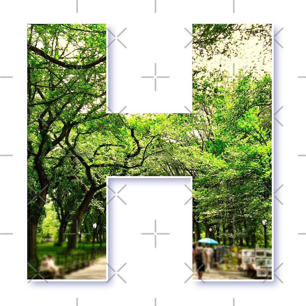 Central Park - Letter H — Poster