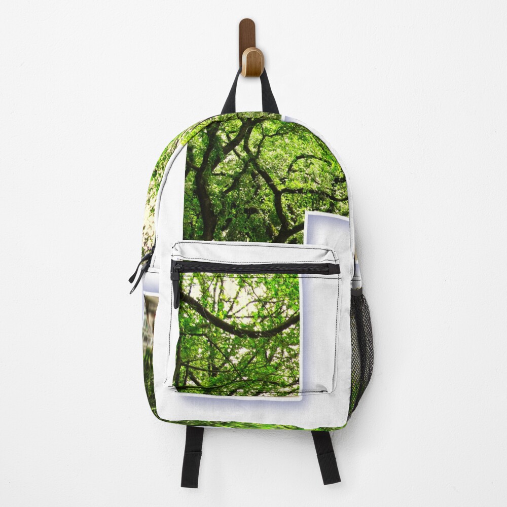 Central Park - Letter H on a backpack