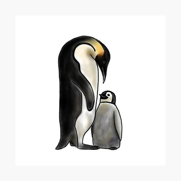 Penguin Batreeq Photographic Print
