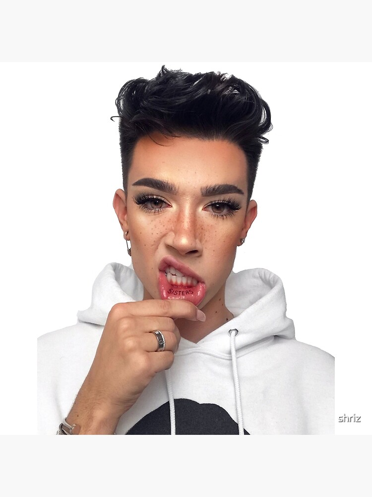 "James Charles Sisters Lip" Poster for Sale by shriz Redbubble