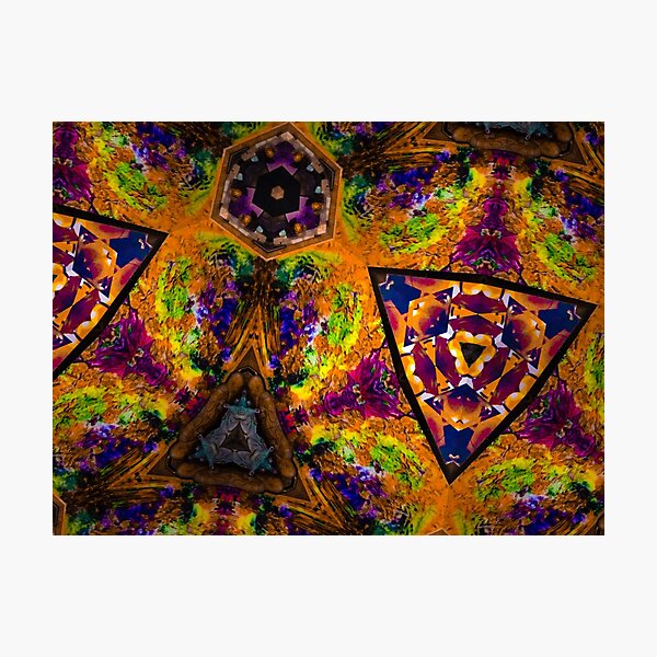 Life’s Rich Tapestry Photographic Print