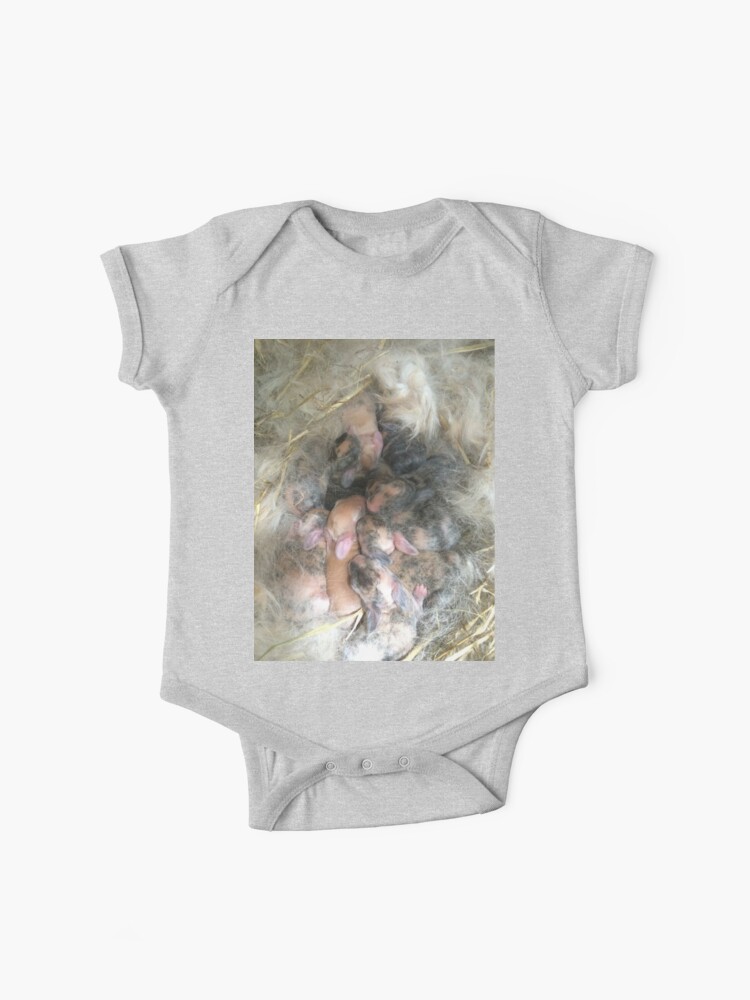 Body Bebe Nid De Lapin Bebe Lapin Arlequin Par Silverdragon Redbubble