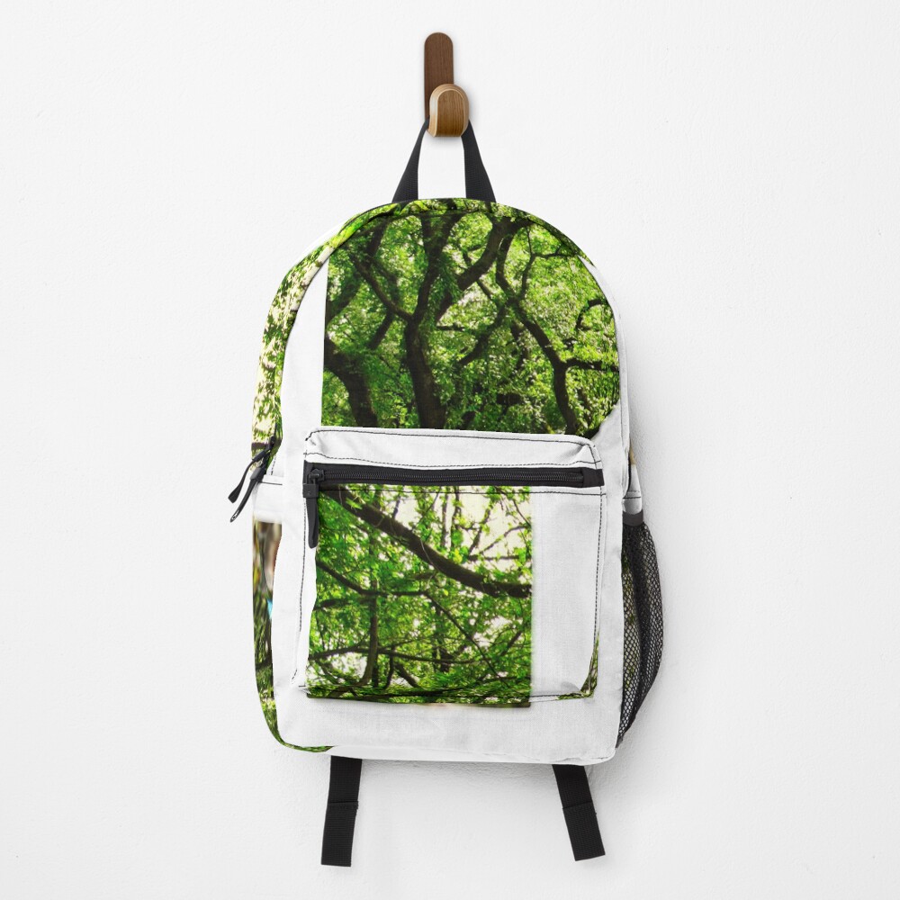 Central Park - Letter K on a backpack