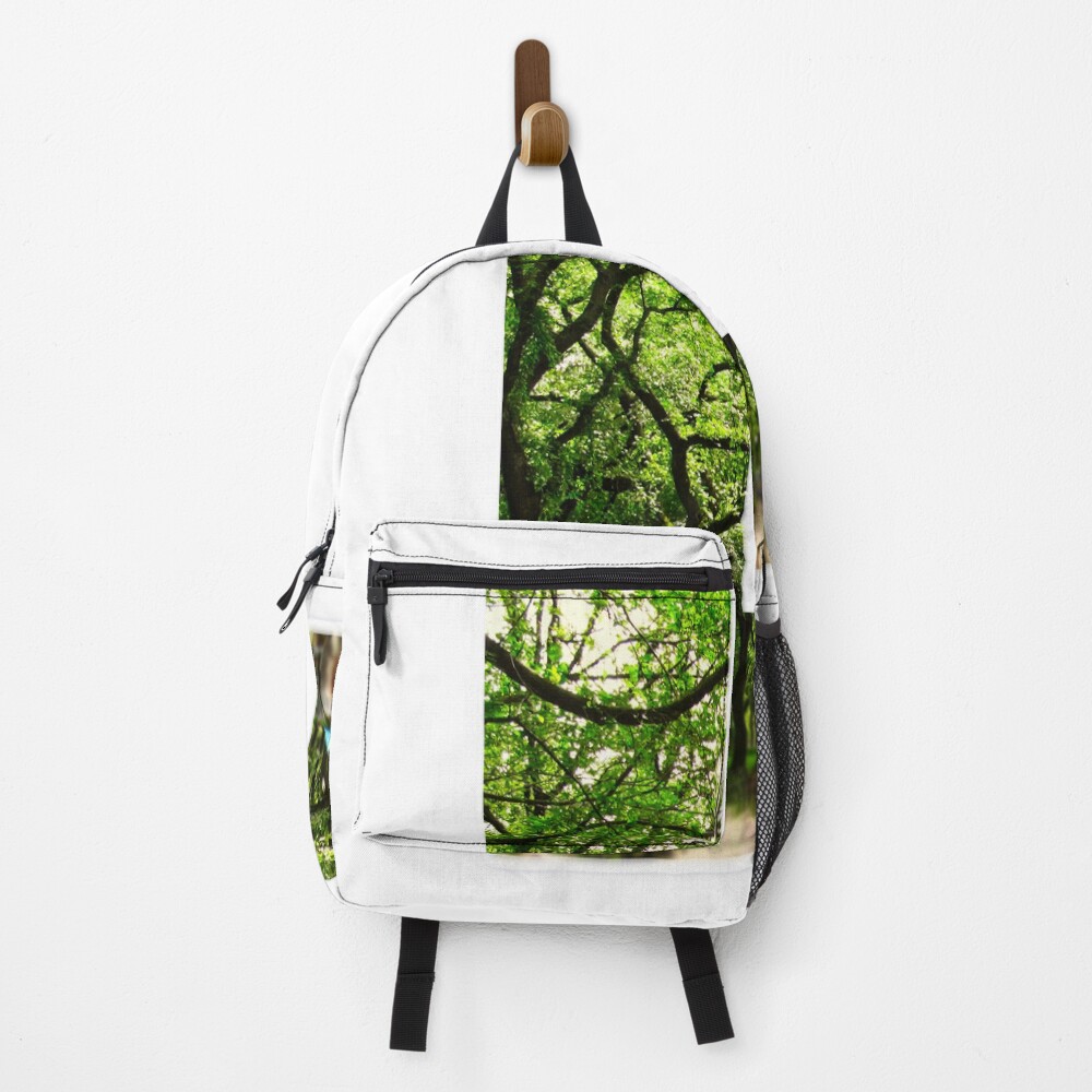 Central Park - Letter L on a backpack