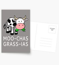 Moo-Chas Grass-ias (Muchas Gracias) Postkarten