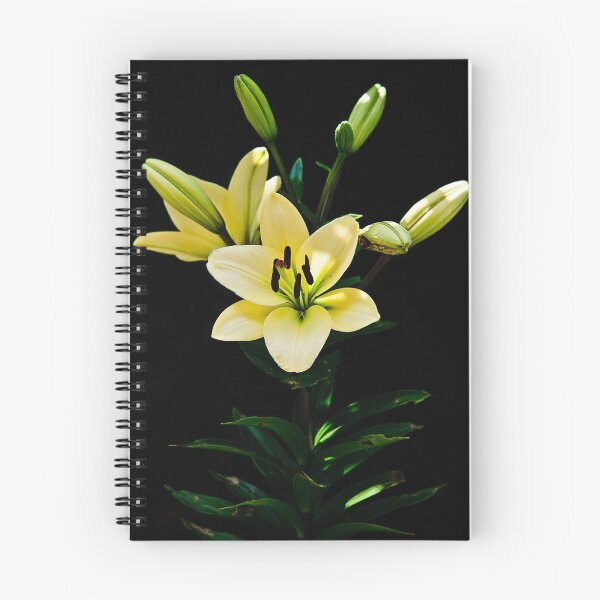 Item preview, Simple pleasures of life designed and sold by Lissywitch.