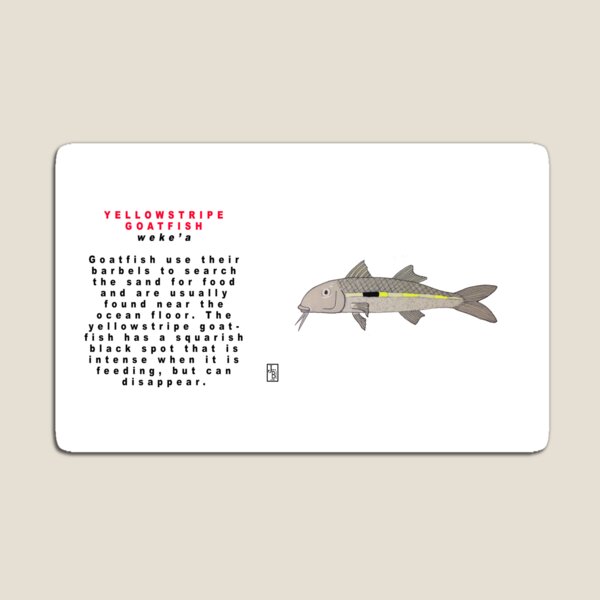 Hawaiian Yellowstriped Goatfish Magnet