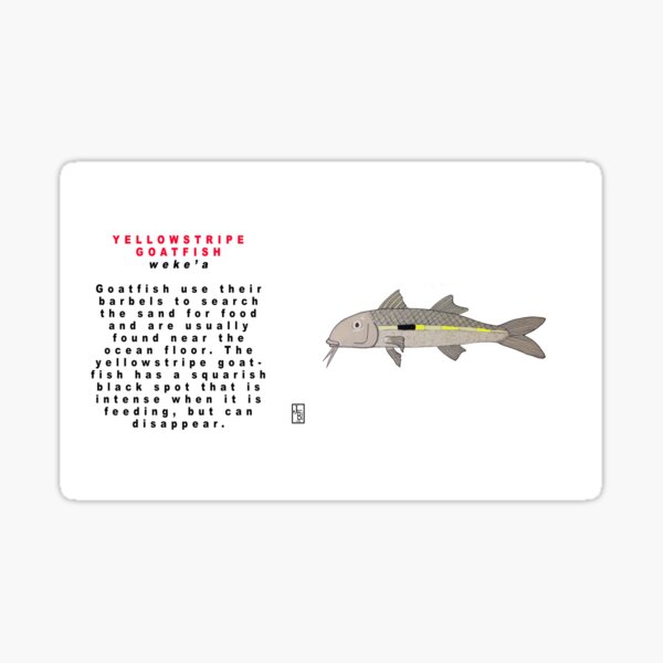Hawaiian Yellowstriped Goatfish Sticker