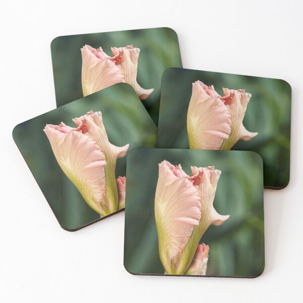Item preview, Spring Iris designed and sold by Joy Watson - Natural Light Photography .