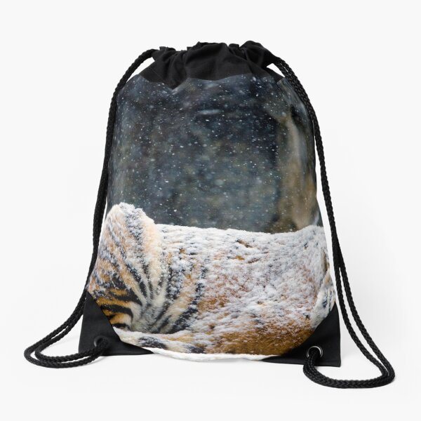 Drawstring Bag
