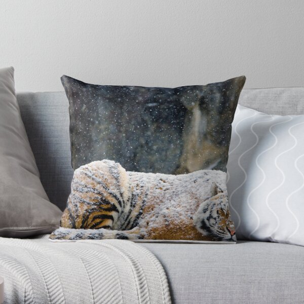 Throw Pillow