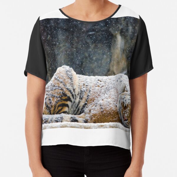 Chiffon Top