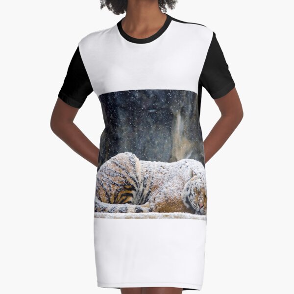 Graphic T-Shirt Dress