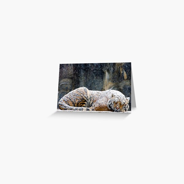 Greeting Card