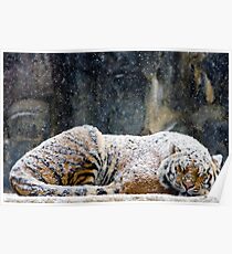 Warmer Mantel Poster