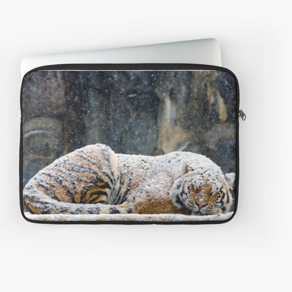 Laptop Sleeve