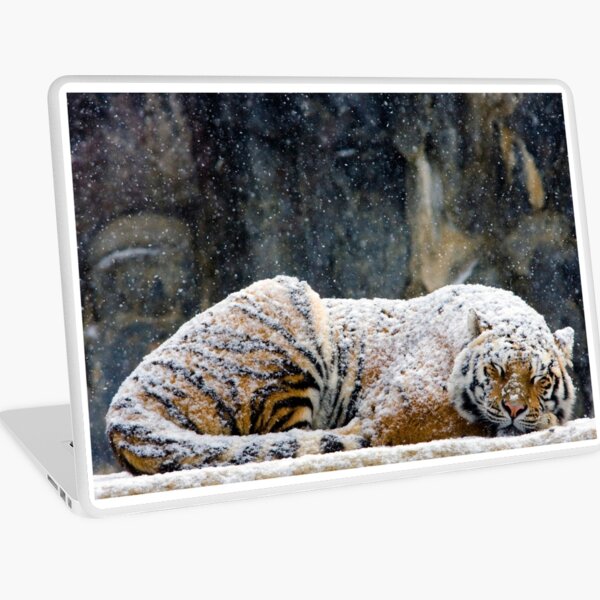 Macbook Air 13" (2015)