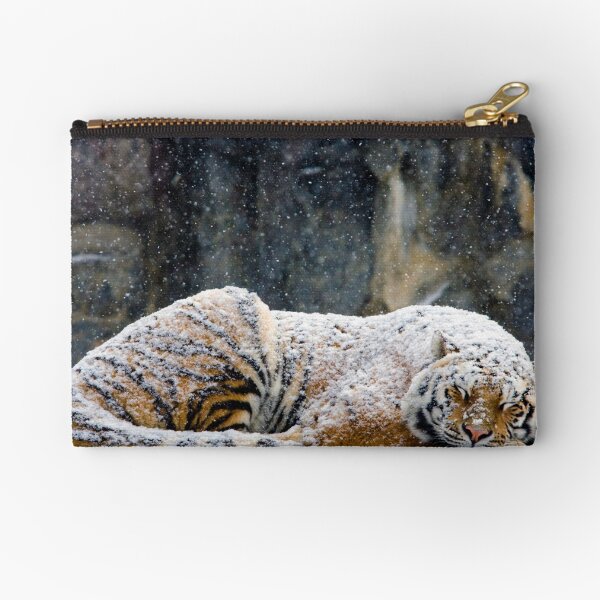 Zipper Pouch