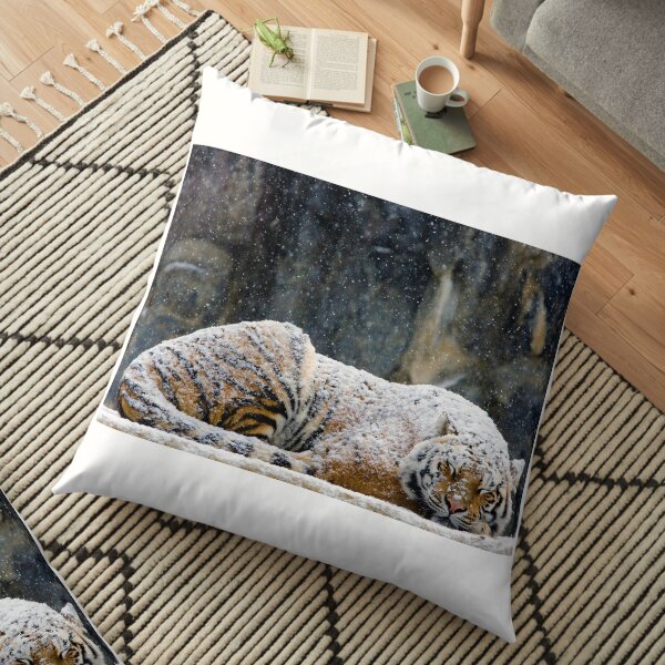 Floor Pillow