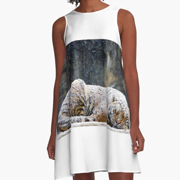 A-Line Dress