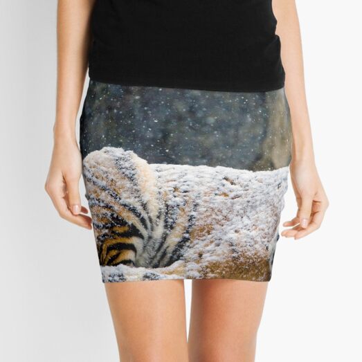 Mini Skirt