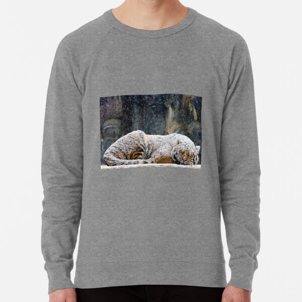 Lightweight Sweatshirt