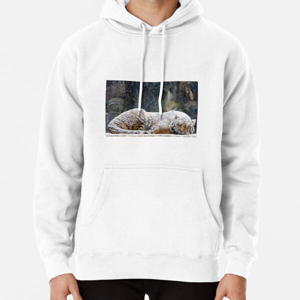 Hoodie (Pullover)