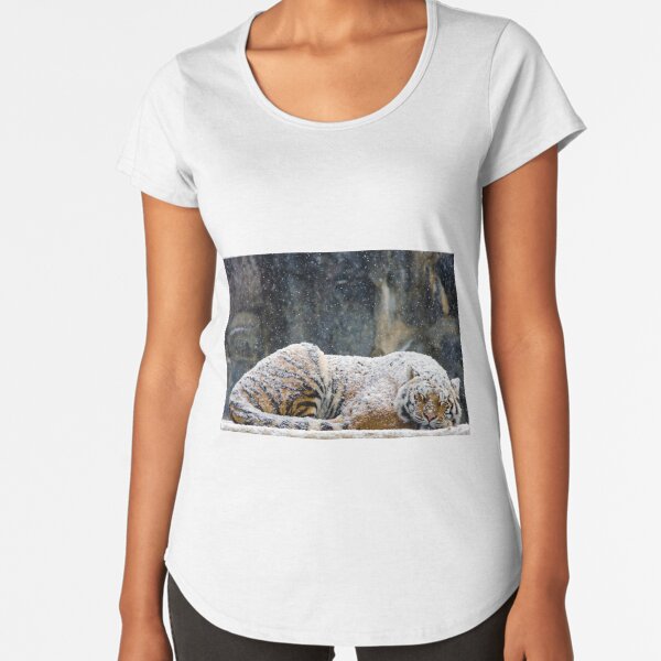 Premium Scoop T-Shirt
