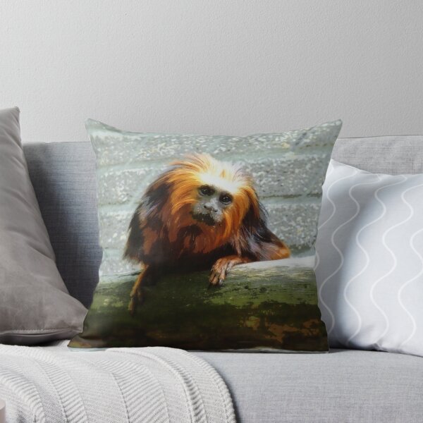 Item preview, Posterized curious lion monkey designed and sold by MissBeloved.