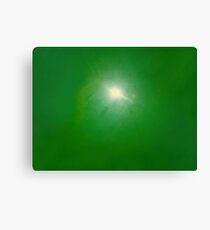 green ball Canvas Print