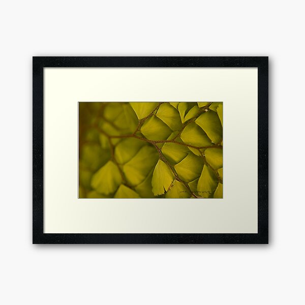 Framed Print